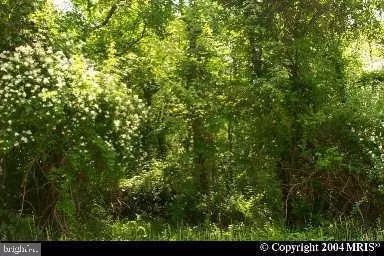 Clinton Drive, Accokeek, MD 20607