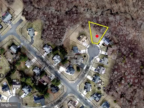 10301 Bunch Berry Ln, Marlboro, MD 20772