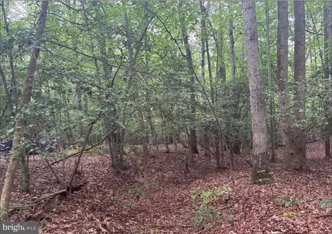 16661 Bald Eagle School Rd, Brandywine, MD 20613 photo 4