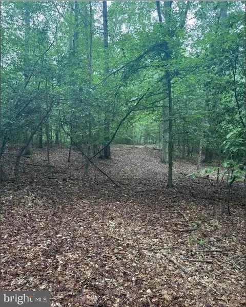 16661 Bald Eagle School Rd, Brandywine, MD 20613 photo 3
