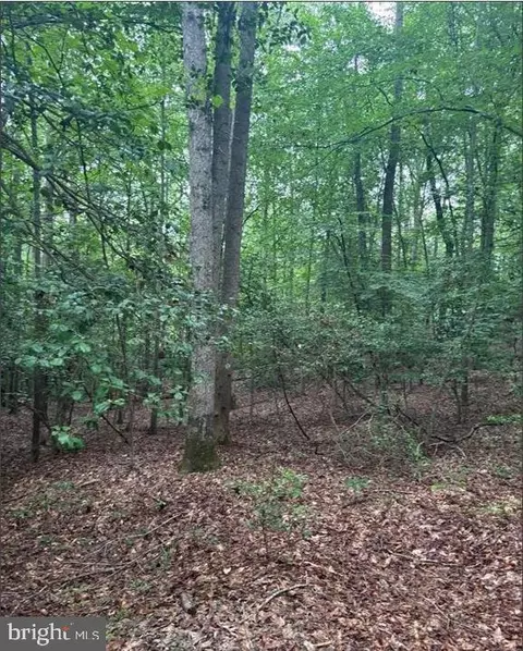 16661 Bald Eagle School Rd, Brandywine, MD 20613 photo 5