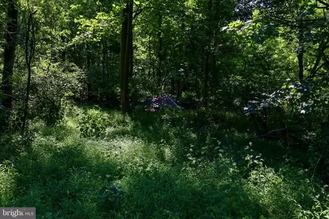 13729 Martin Rd, Brandywine, MD 20613 photo 13