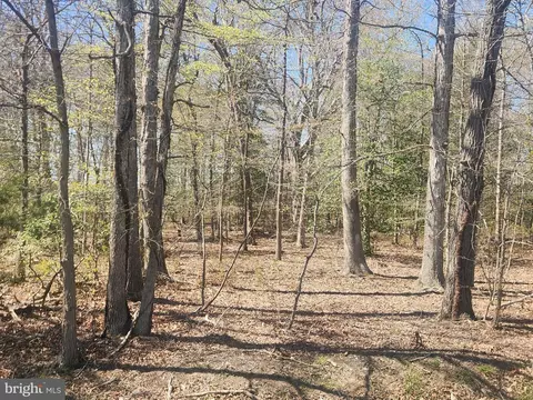 Tower Road, Brandywine, MD 20613 photo 4