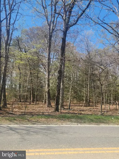 Tower Road, Brandywine, MD 20613 photo 3