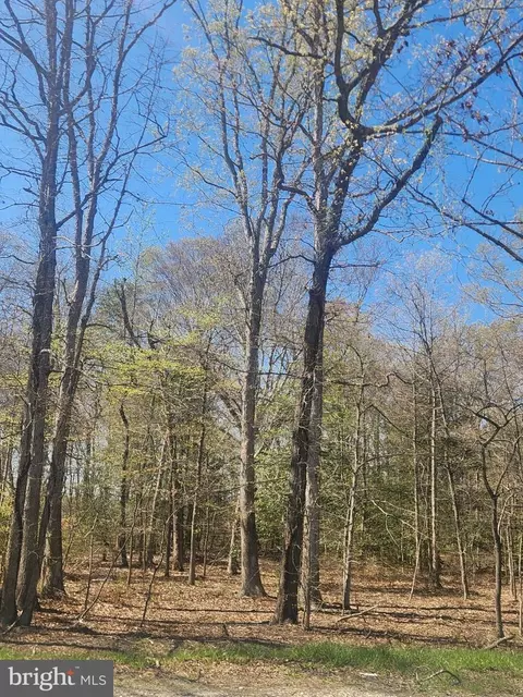 Tower Road, Brandywine, MD 20613