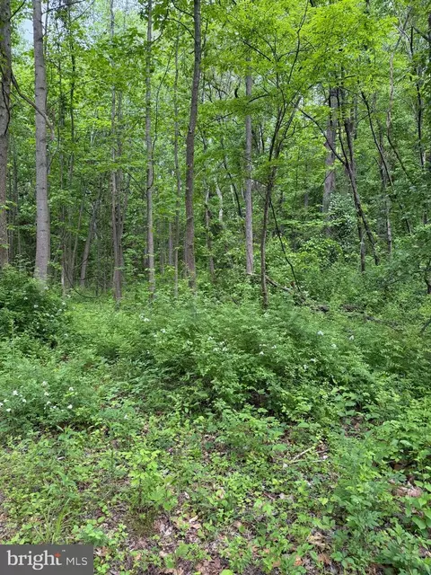 Hideout Lane, Bowie, MD 20716 photo 2