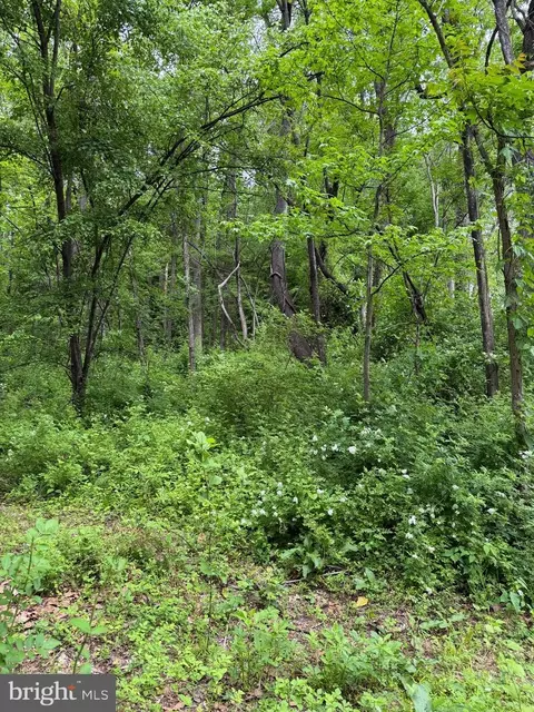 Hideout Lane, Bowie, MD 20716 photo 3