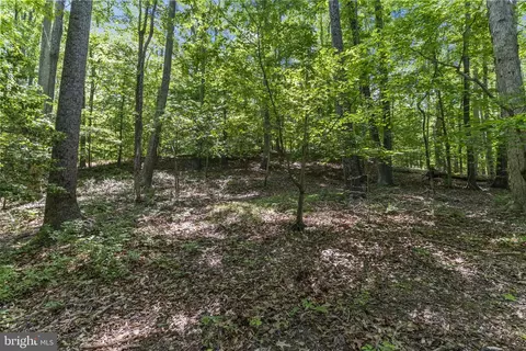 15690 Nelson Perrie Rd, Brandywine, MD 20613 photo 9
