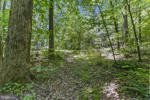 15690 Nelson Perrie Rd, Brandywine, MD 20613 photo 8