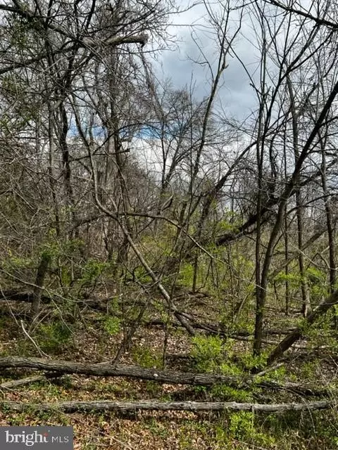Hill Road, Hyattsville, MD 20785