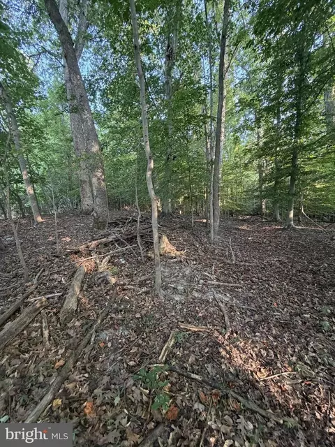 8401 Echo Ln, Clinton, MD 20735 photo 7