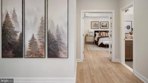 Entry Way - TBB While Away Drive #RICHMOND, Bowie, MD 20716 photo 21 of 46