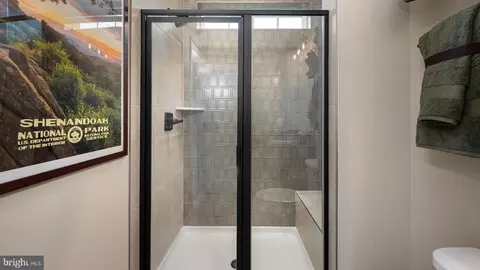 Entry Way - TBB While Away Drive #RICHMOND, Bowie, MD 20716 photo 23 of 46