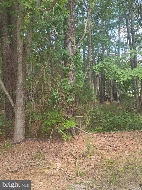 4820 Danville Rd, Brandywine, MD 20613 photo 11