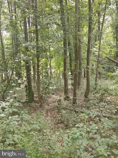 4820 Danville Rd, Brandywine, MD 20613 photo 10