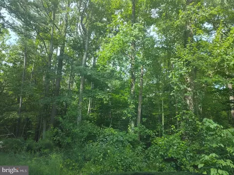 4820 Danville Rd, Brandywine, MD 20613 photo 5
