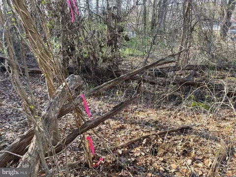 Riverdale Road, Lanham, MD 20706 photo 5