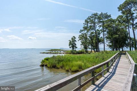 2903 Cox Neck Rd E, Chester, MD 21619 photo 52