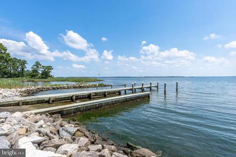 2903 Cox Neck Rd E, Chester, MD 21619 photo 55