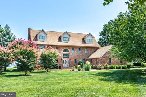 2903 Cox Neck Rd E, Chester, MD 21619 photo 36