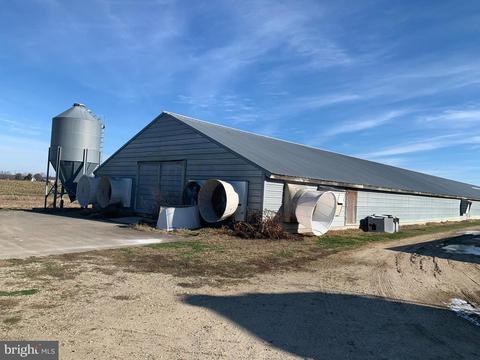 309 Cosden Rd, Barclay, MD 21607 photo 14