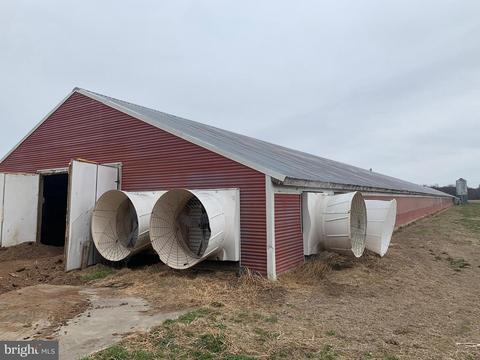 309 Cosden Rd, Barclay, MD 21607 photo 16