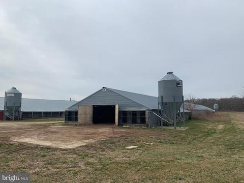 309 Cosden Rd, Barclay, MD 21607 photo 15