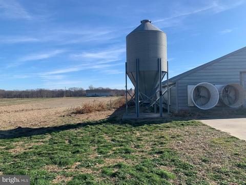309 Cosden Rd, Barclay, MD 21607 photo 10