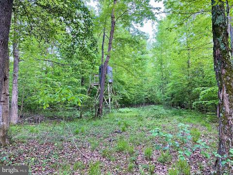 Teats Branch Road, Sudlersville, MD 21668