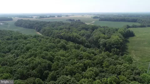 Bloomingdale Road, Wye Mills, MD 21679