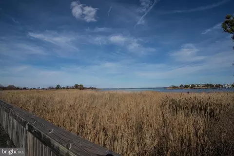 View/Area - 7 B Piney Narrows Rd, Chester, MD 21619 photo 5 of 5