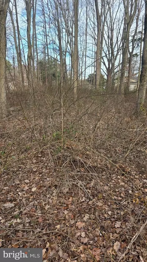 lot S30 And 32 Baltimore Dr, Stevensville, MD 21666