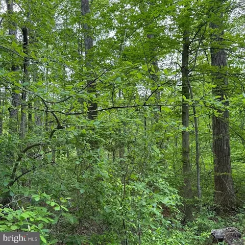 Grange Hall Road, Centreville, MD 21617