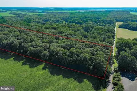 Hoffecker Road, Chestertown, MD 21620 photo 2