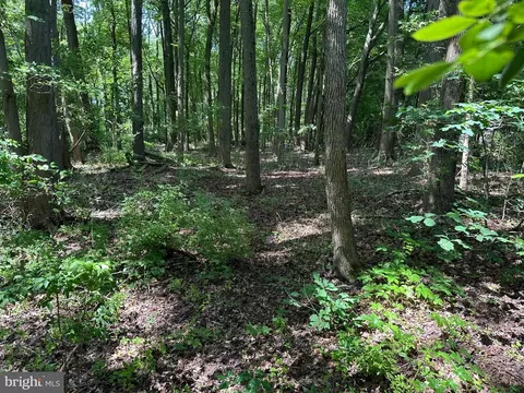 Lot 7 Maple Drive #7, Stevensville, MD 21666
