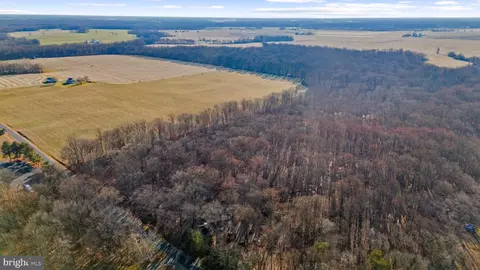 Hoffecker Road, Chestertown, MD 21620 photo 6