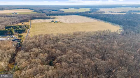 Hoffecker Road, Chestertown, MD 21620 photo 10