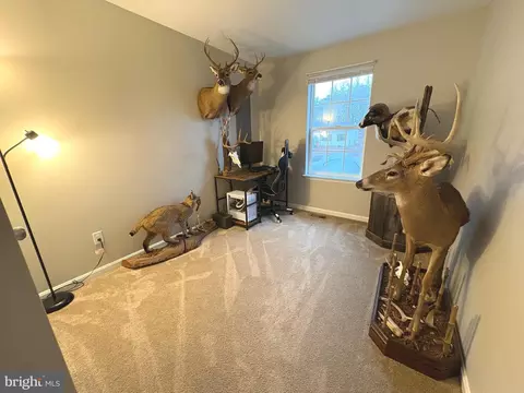 Other - 148 Step Rd, Chestertown, MD 21620 photo 11 of 18