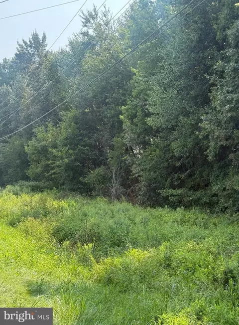 Parcel 38 Goldsboro Road, Barclay, MD 21607