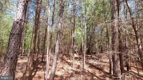 48560 Evergreen Park Rd, Lexington Park, MD 20653