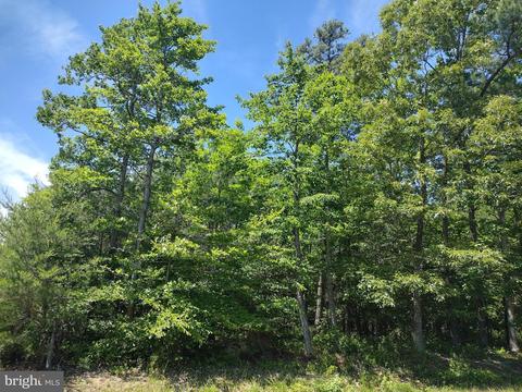 19531 Dyson Way, Valley Lee, MD 20692