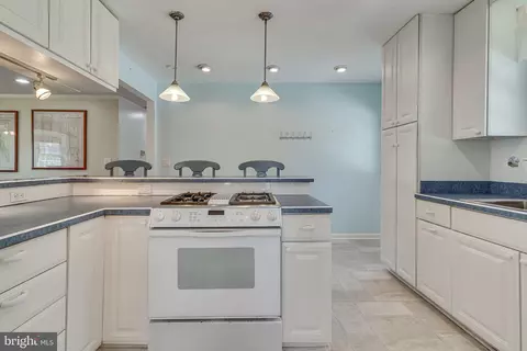 50295 Malone Bay Ct, Dameron, MD 20628 photo 23