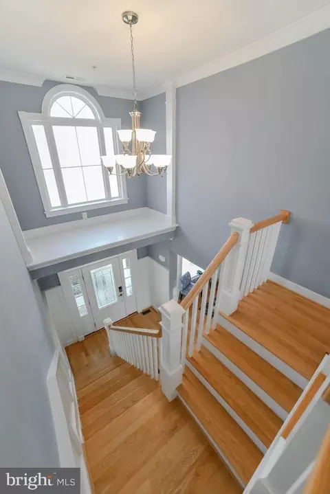 17450 Lighthouse Commons Dr, Piney Point, MD 20674 photo 73