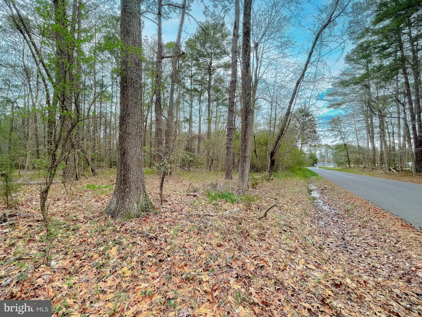 20813 Waterloo Cir, Coltons Point, MD 20626 photo 5