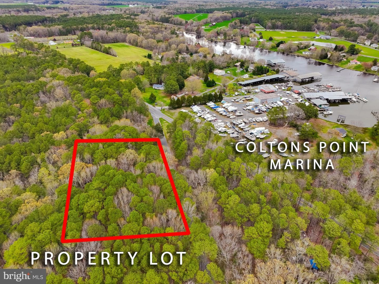 20813 Waterloo Cir, Coltons Point, MD 20626 photo 2