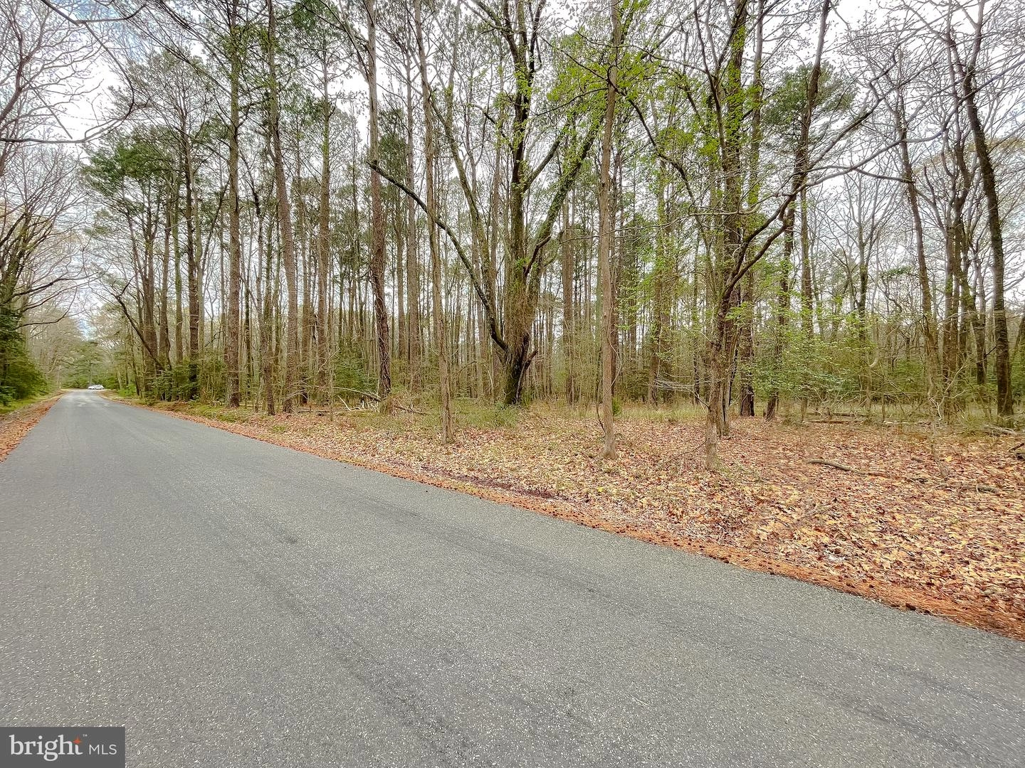 20813 Waterloo Cir, Coltons Point, MD 20626 photo 4