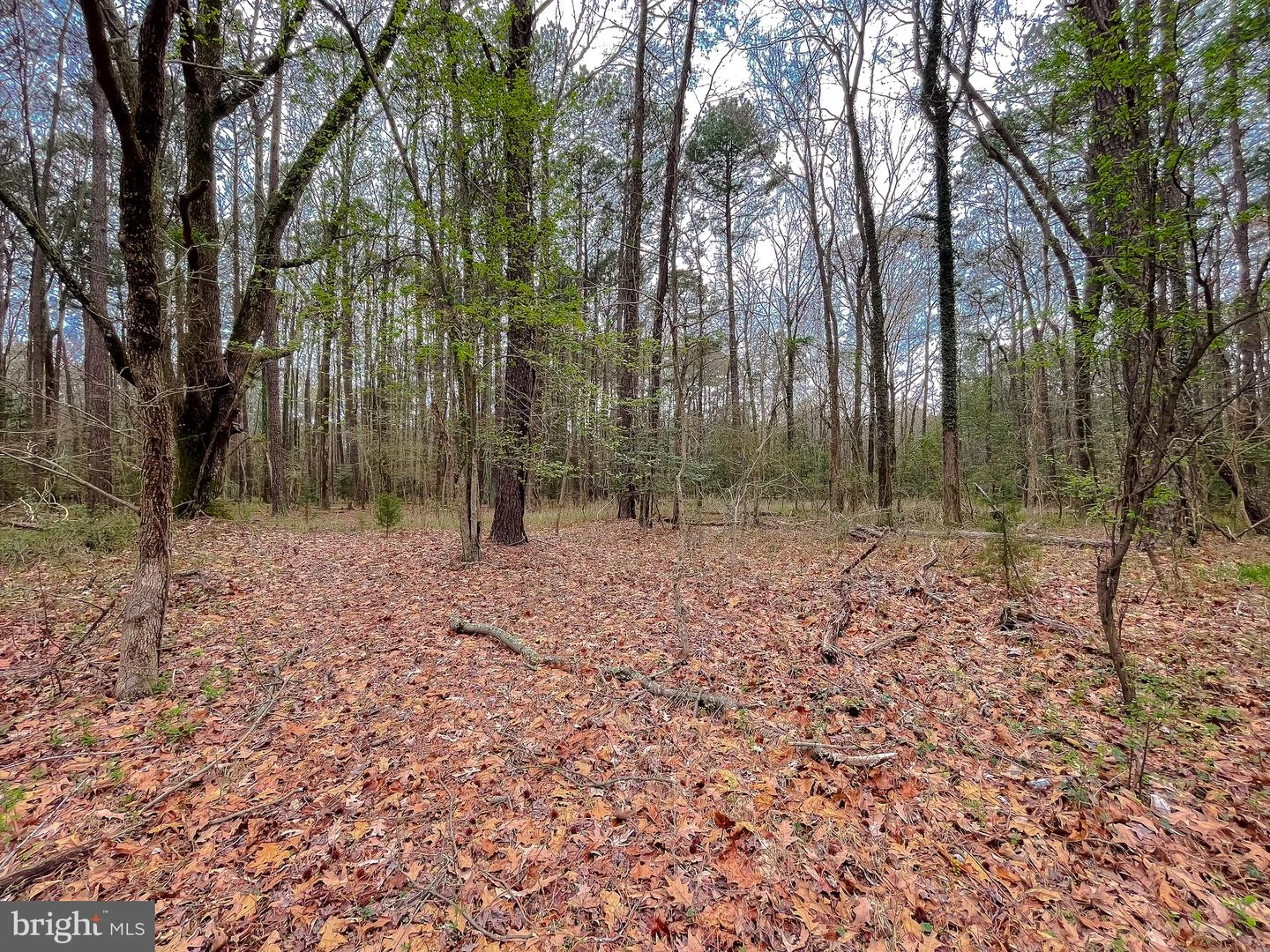 20813 Waterloo Cir, Coltons Point, MD 20626 photo 6