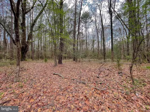 20813 Waterloo Cir, Coltons Point, MD 20626 photo 6