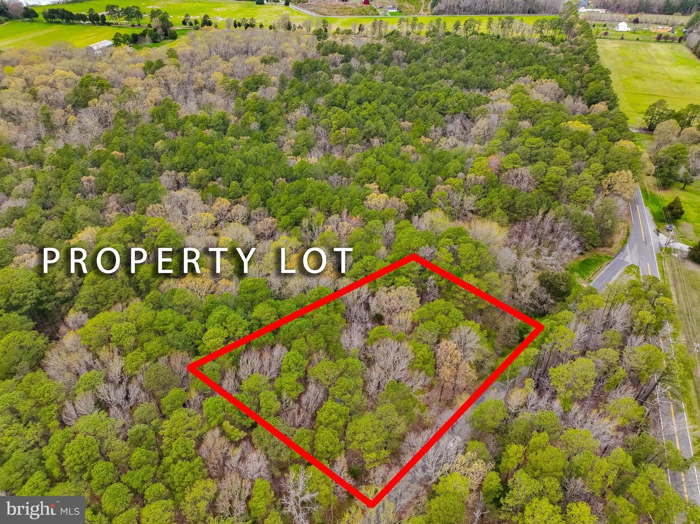 20813 Waterloo Cir, Coltons Point, MD 20626 photo 1