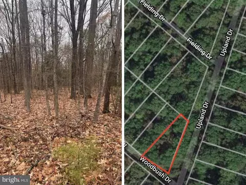 Woodbush Dr, Bushwood, MD 20618
